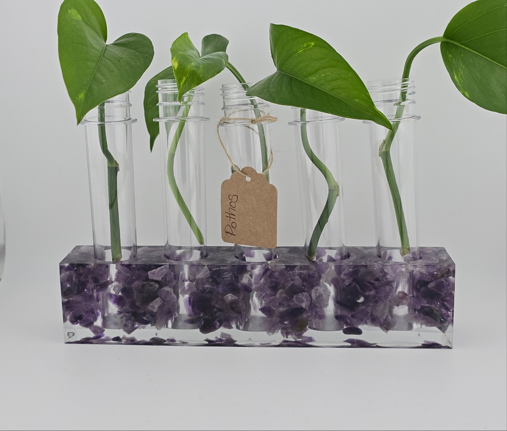Amethyst Propagation Station