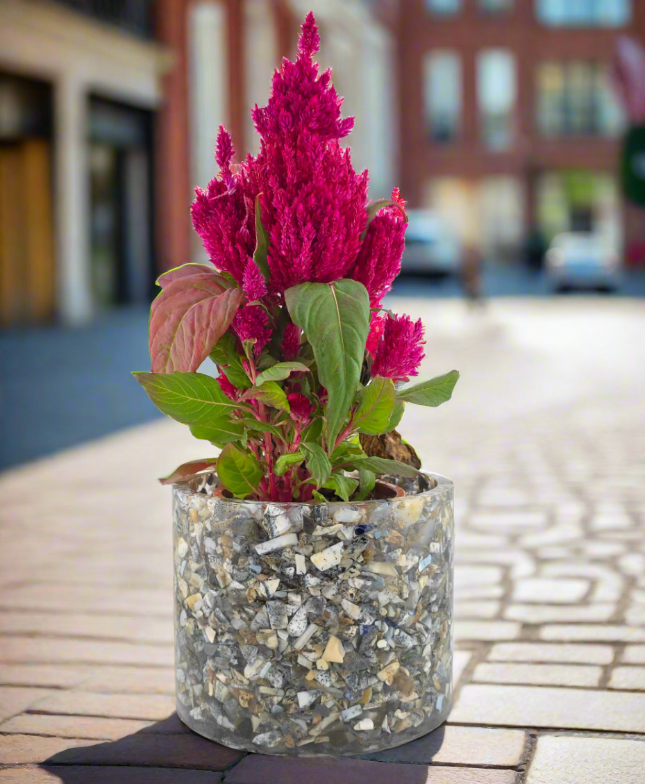 Dendrite Opal 5.9" Planter City