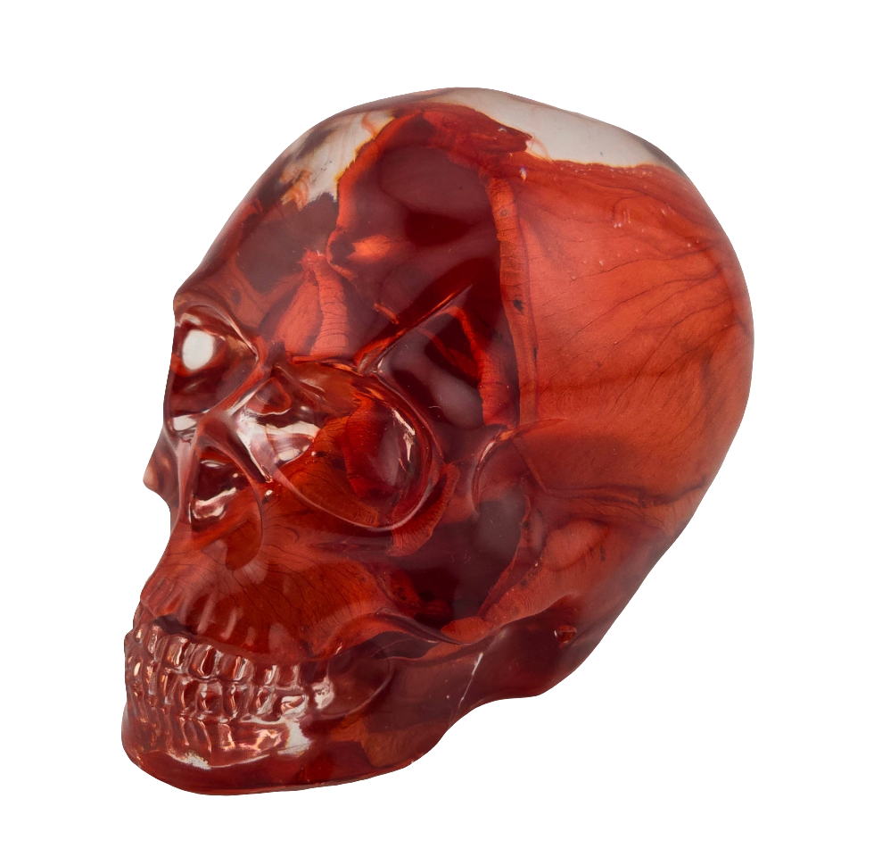 Red Rose Petal Skull