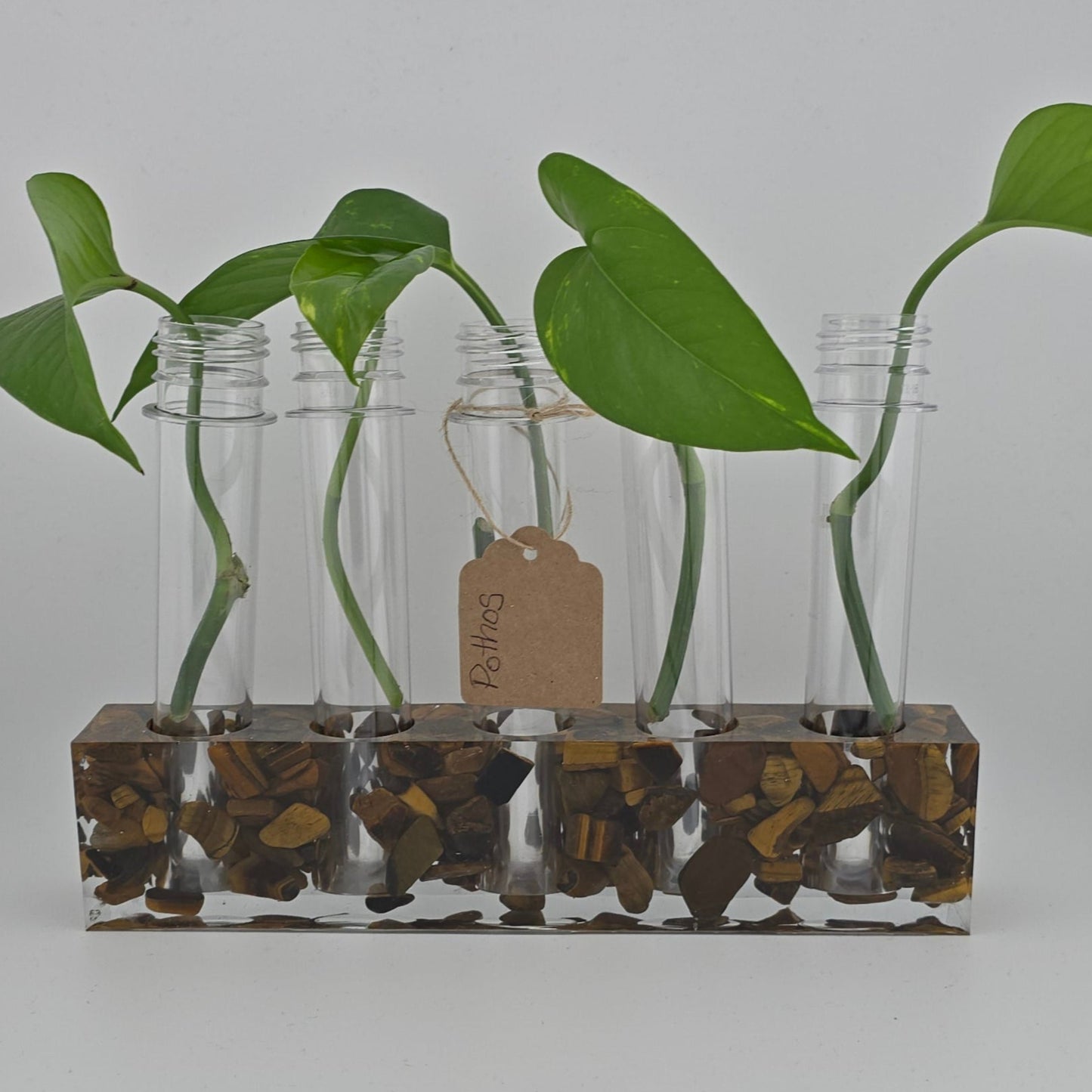 Tigers Eye 5-Hole Propagation Station 8.75"W x 1.45"D x 2"H natural stone, epoxy resin white background