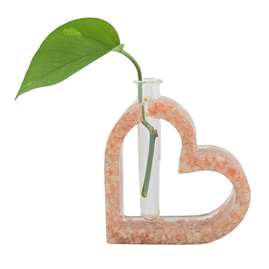 Hollow Heart Propagation Station Sunstone