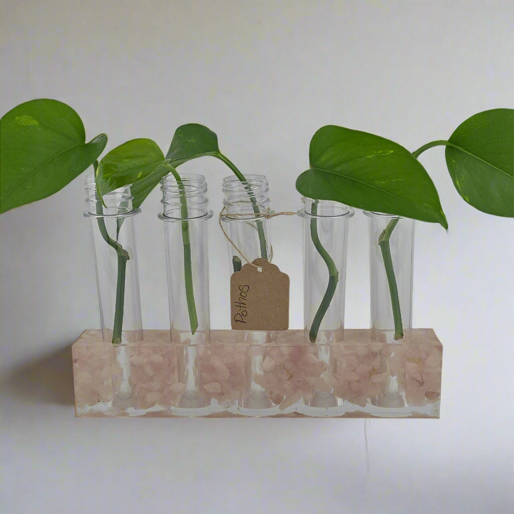 Rose Quartz 5-Hole Propagation Station 8.75"W x 1.45"D x 2"H, natural stone, epoxy resin white background