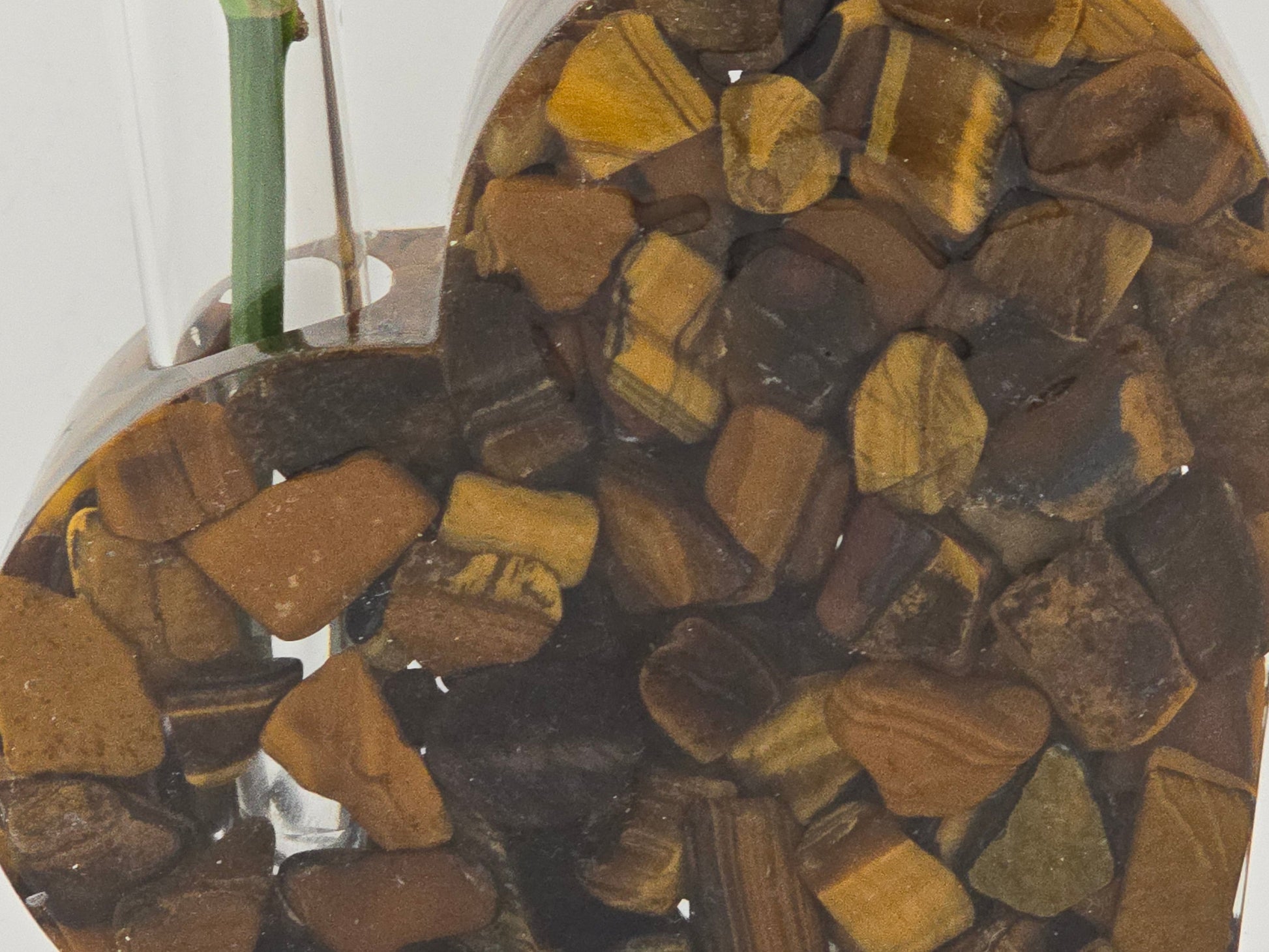 Tiger's Eye Solid Heart Propagation Station Close-up