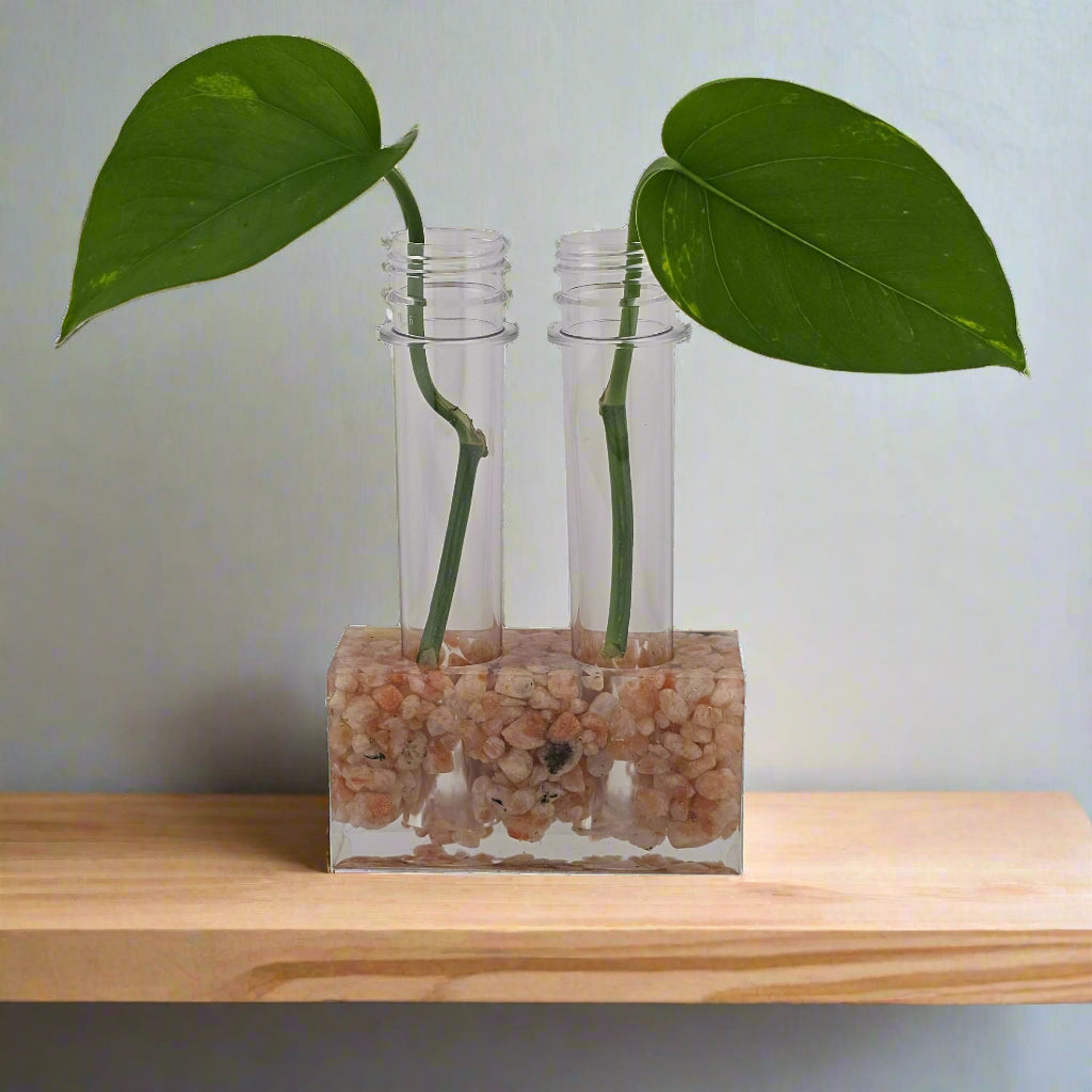 Sunstone 2-Hole Propagation Station 3.75"W x 1.45'D x 2"H natural stone, epoxy resin shelf, counter, office