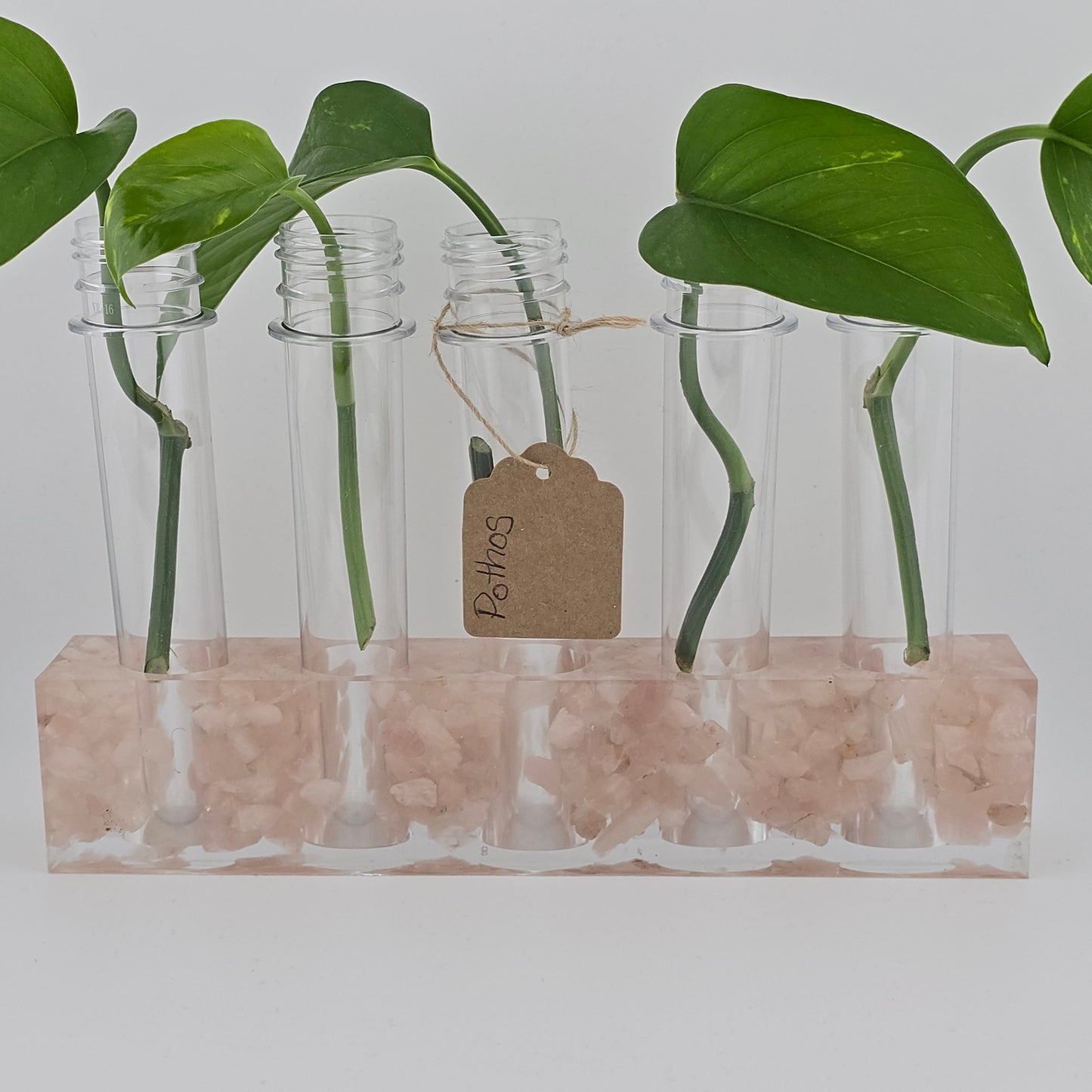 Rose Quartz 5-Hole Propagation Station 8.75"W x 1.45"D x 2"H, natural stone, epoxy resin white background