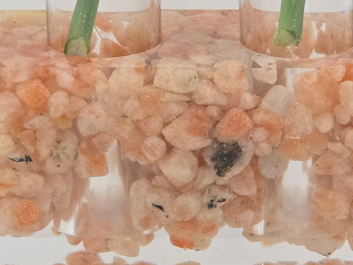 Sunstone Propagation Station natural stone, epoxy resin close up