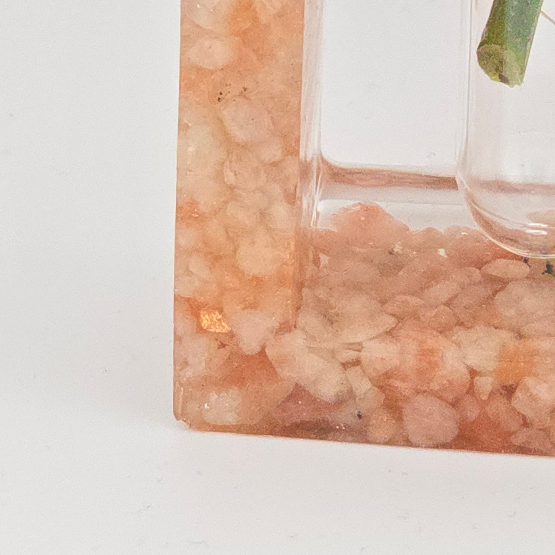 Sunstone Hollow Heart Propagation Station Close-up