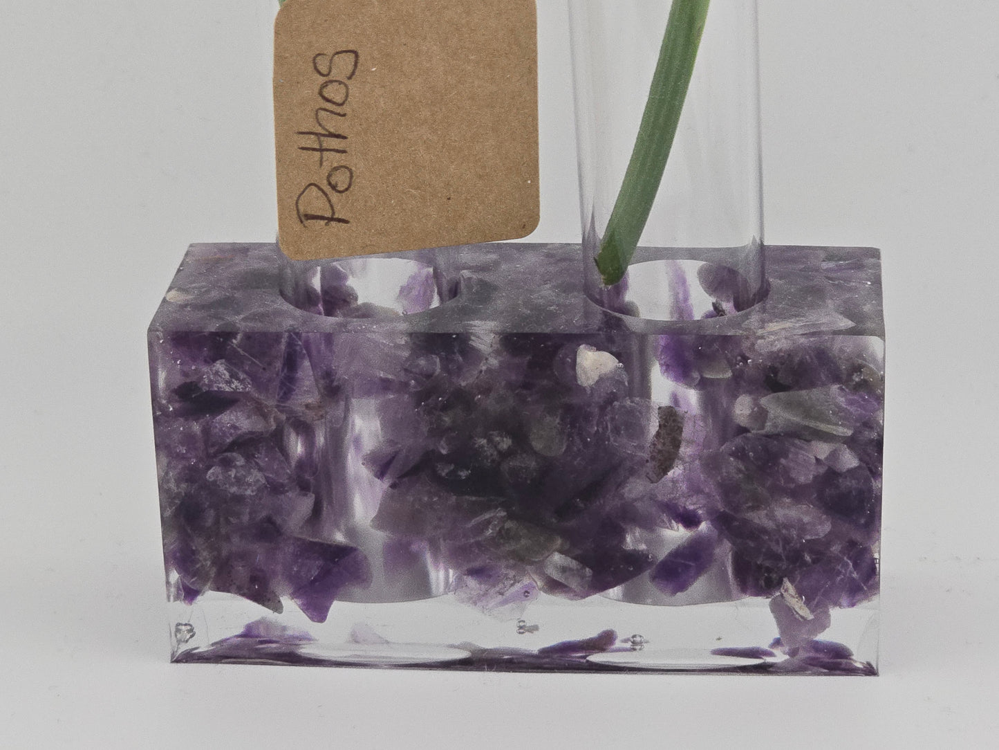 Amethyst Propagation Station