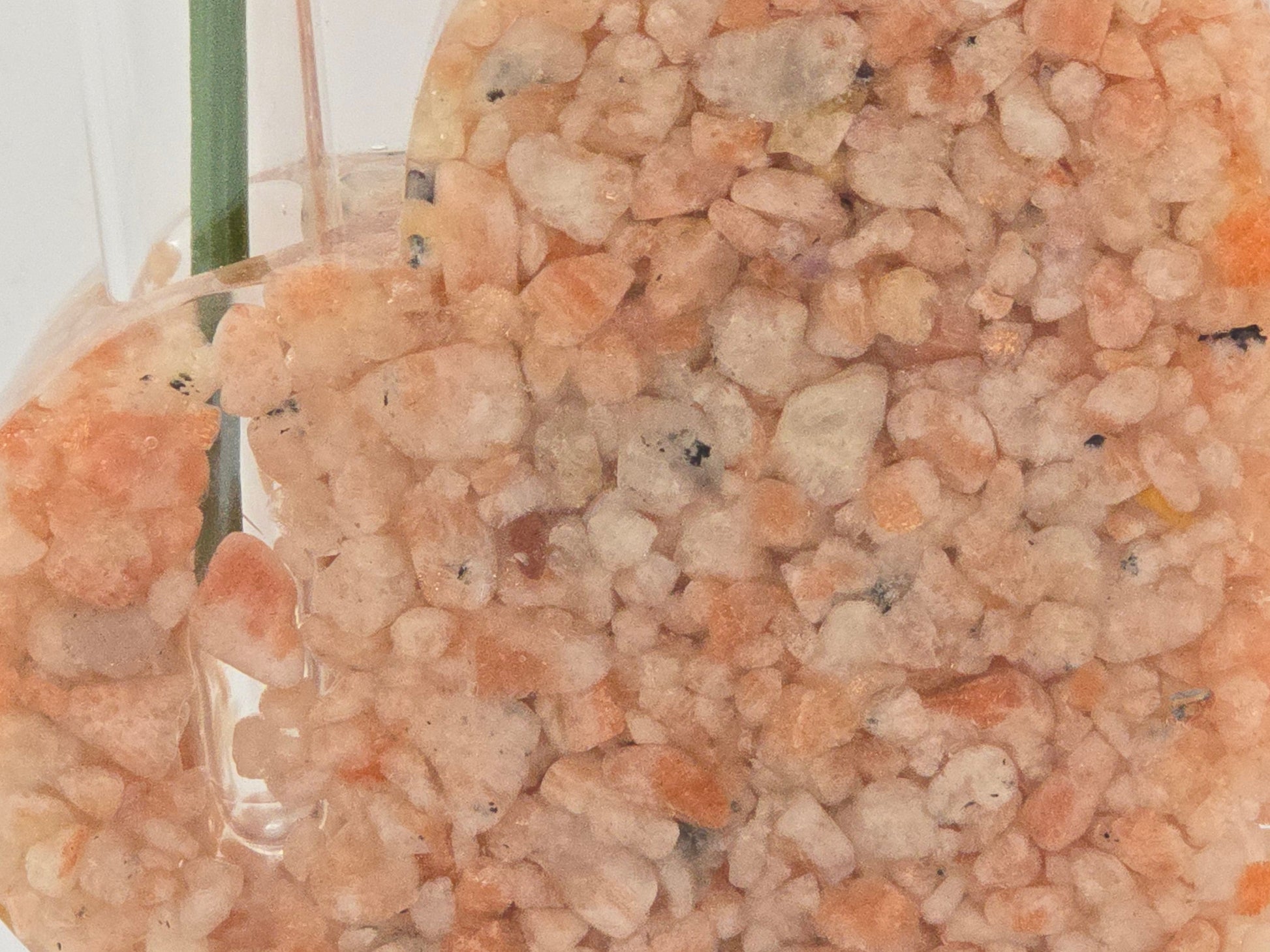 Sunstone Solid Heart Propagation Station Close-up