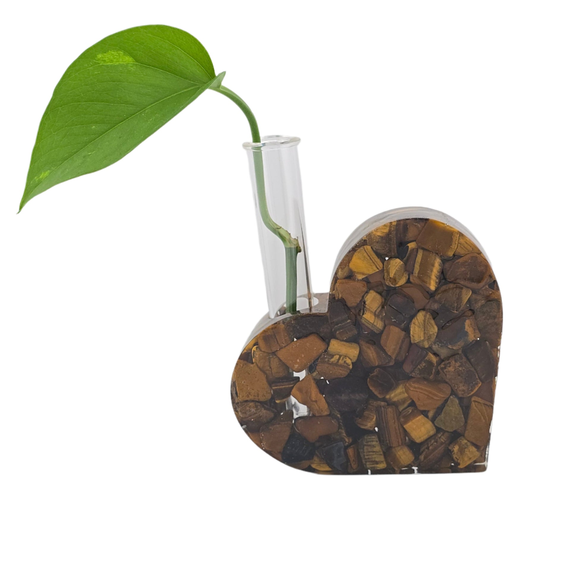 Tiger's Eye Solid Heart Propagation Station Front