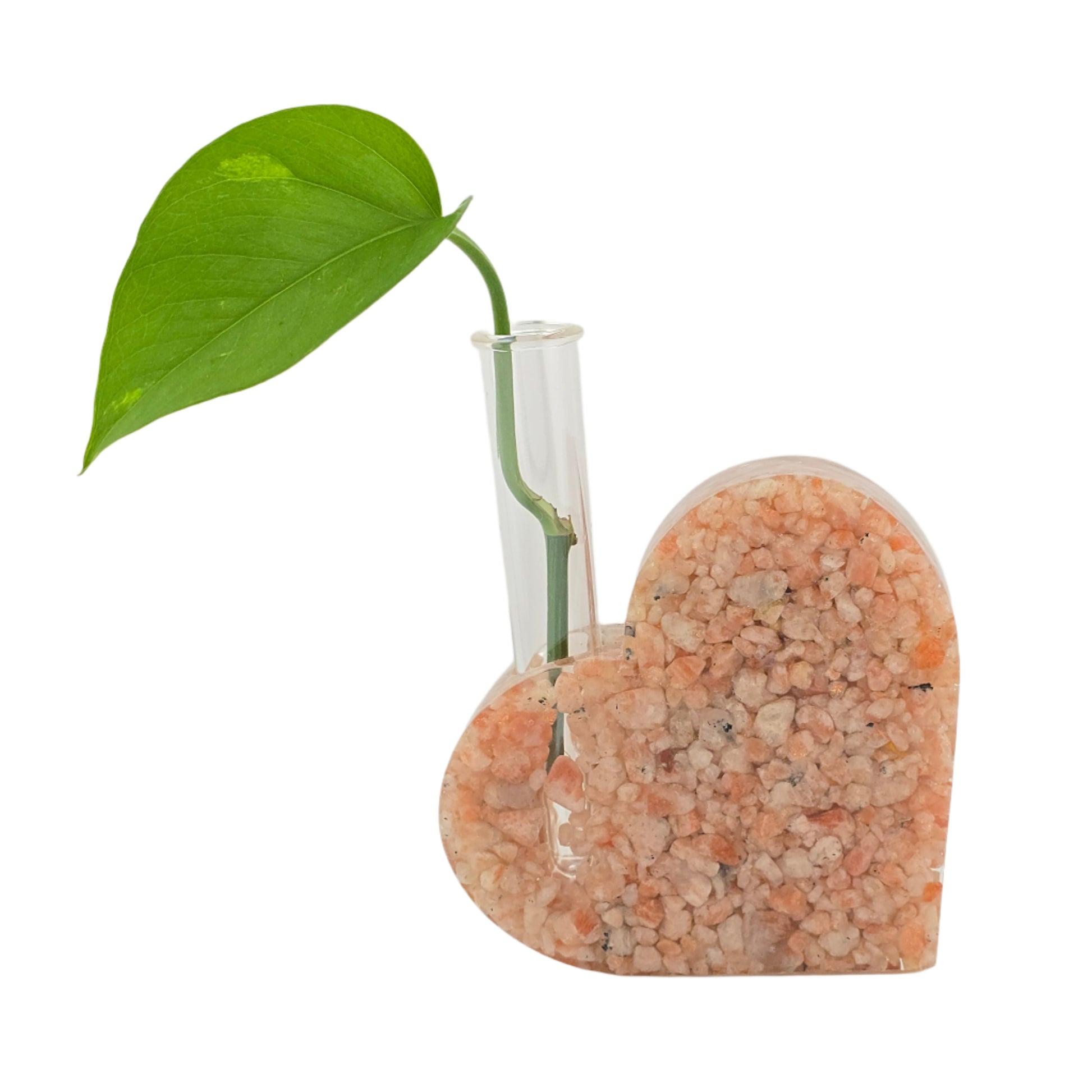 Sunstone Solid Heart Propagation Station White Background
