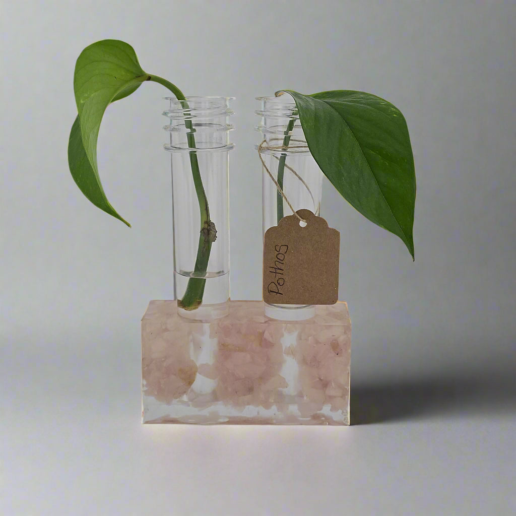 Rose Quartz 2-Hole Propagation Station 3.75"W x 1.45'D x 2"H natural stone, epoxy resin white background
