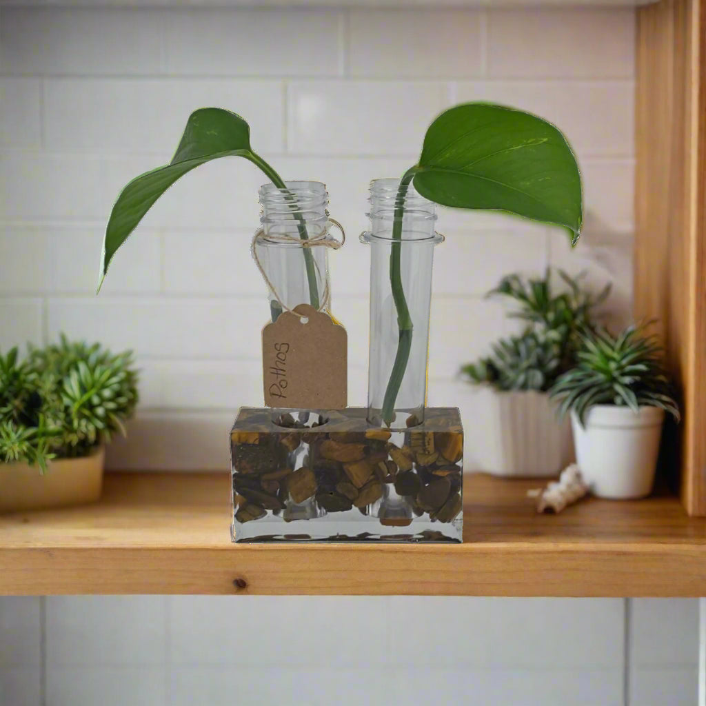 Tigers Eye 2-Hole Propagation Station 3.75"W x 1.45'D x 2"H natural stone, epoxy resin countertop, shelf
