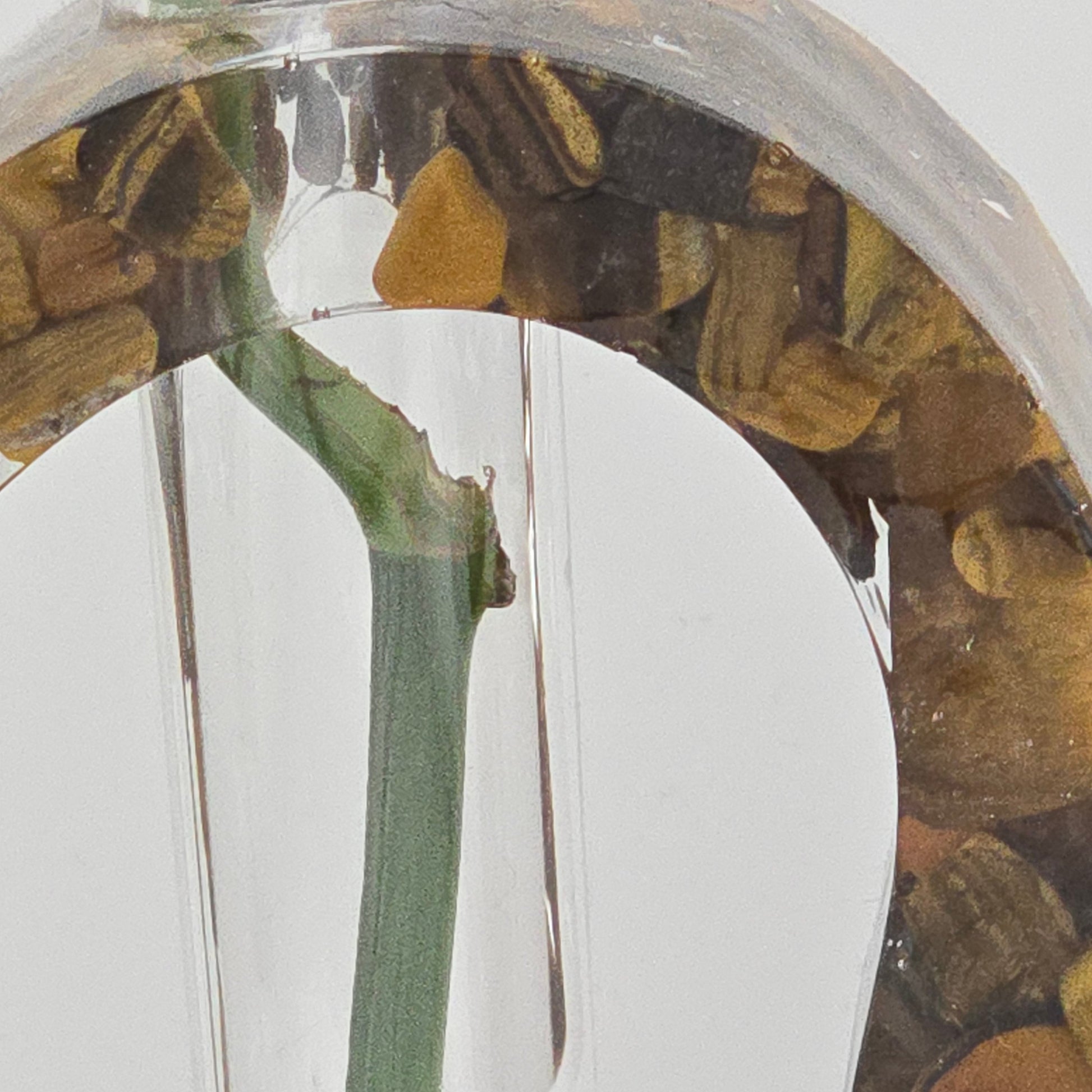 Tiger's Eye Hollow Heart Propagation Station Close-up