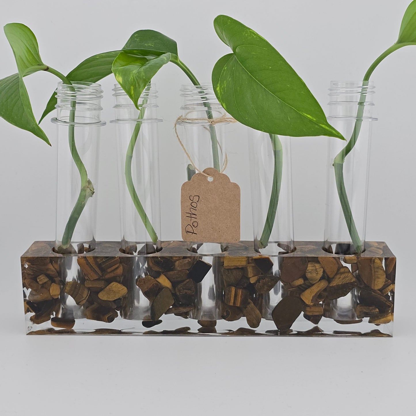 Tigers Eye 5-Hole Propagation Station 8.75"W x 1.45"D x 2"H natural stone, epoxy resin white background