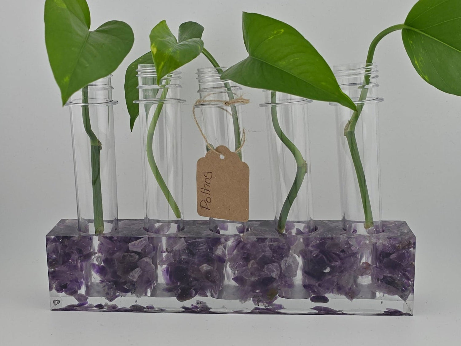 Propagation Stations