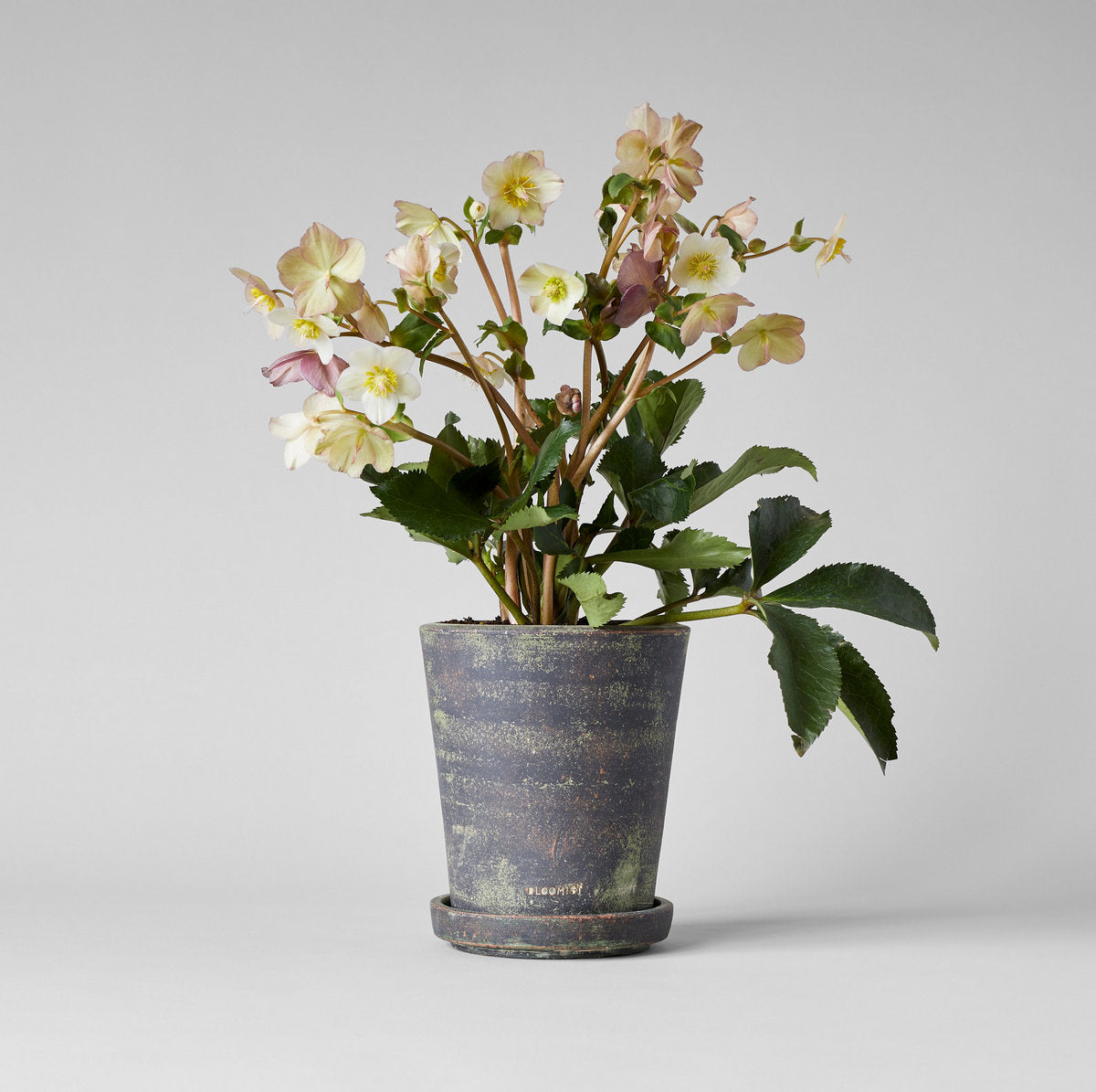 Tray for Basic Planter, Grey Patina