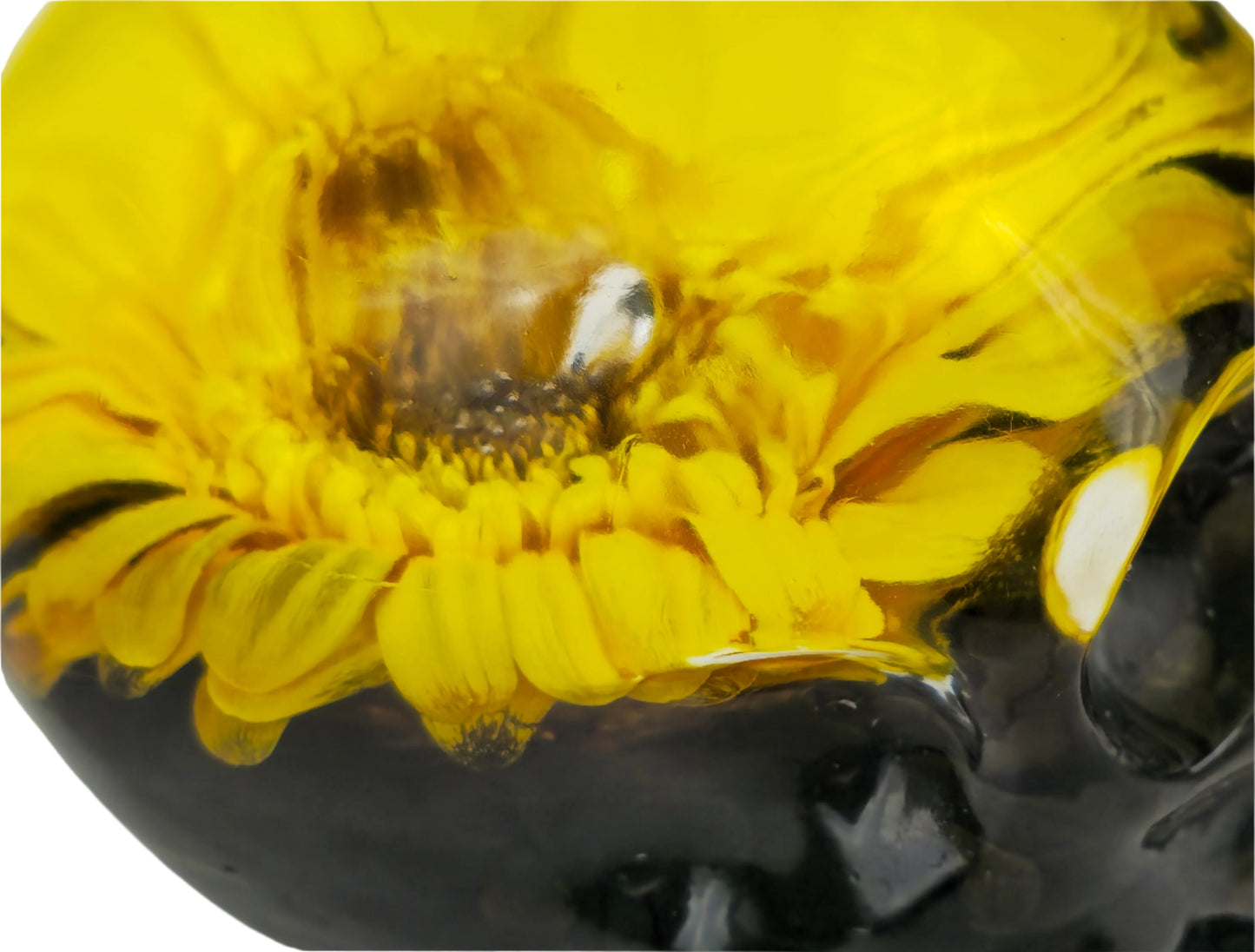 Yellow Gerbera Black Tourmaline Skull