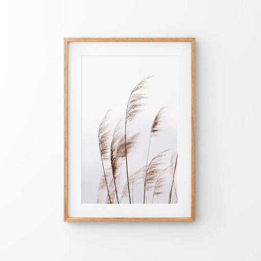 Beige Dried Grass Print. Summer Field