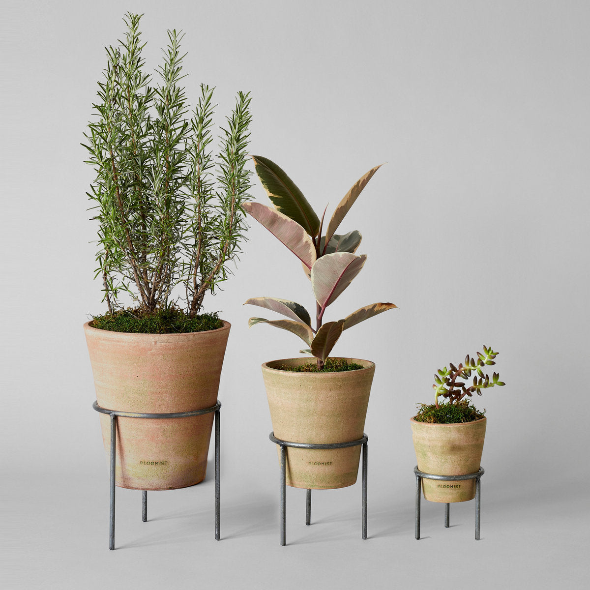 Greenwash Terracotta Studio Planter
