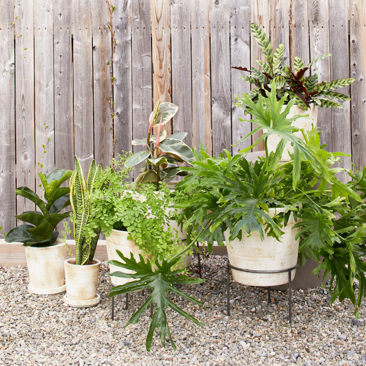 Wrought Iron Planter Stand