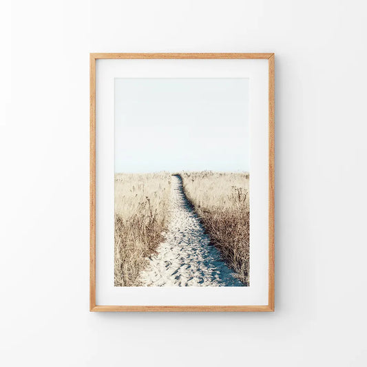 Calm Beach Wall Art Print. Sand Dunes, Dried Grass