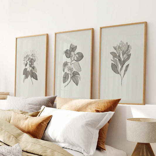 Antique Floral Prints 3 Piece Wall Art Decor