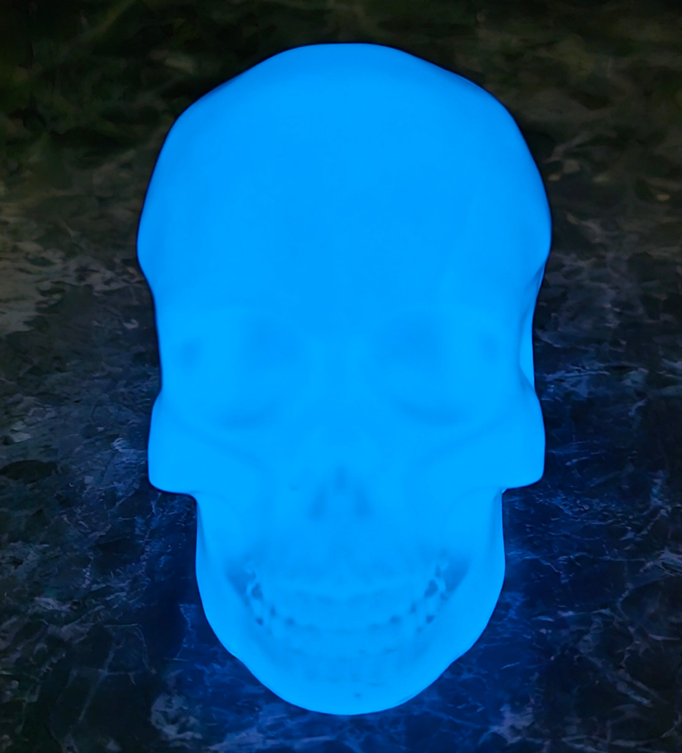 Glow-in-the-Dark Skull