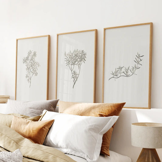 Vintage Neutral Botanical Decor. Set of 3 Prints