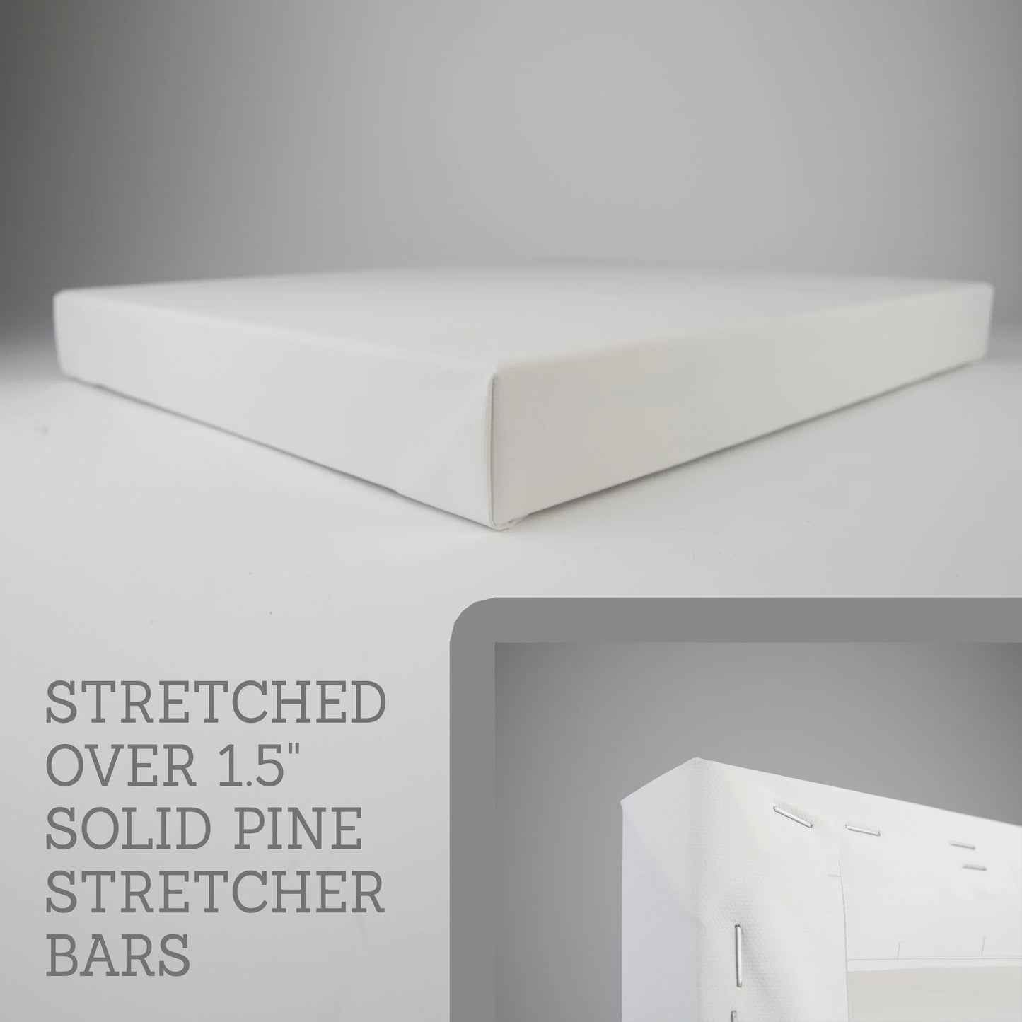 Minimalist Ocean Life Art. Marine Animals Decor