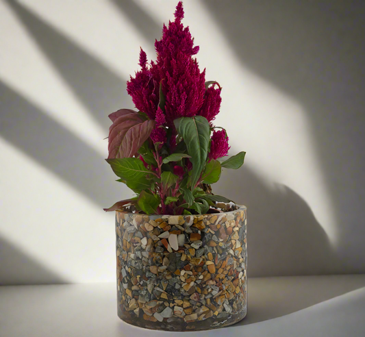 Maligano Jasper Planter 5.9"