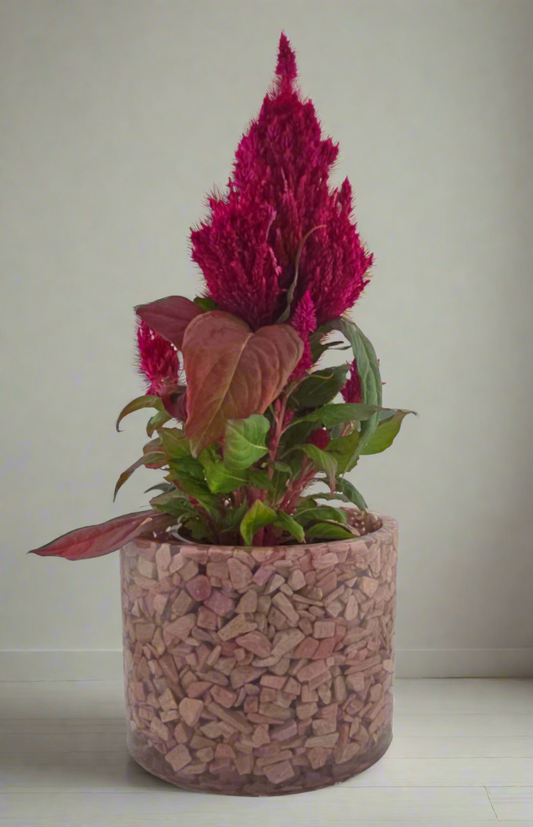 Pink Opal Planter 5.9"