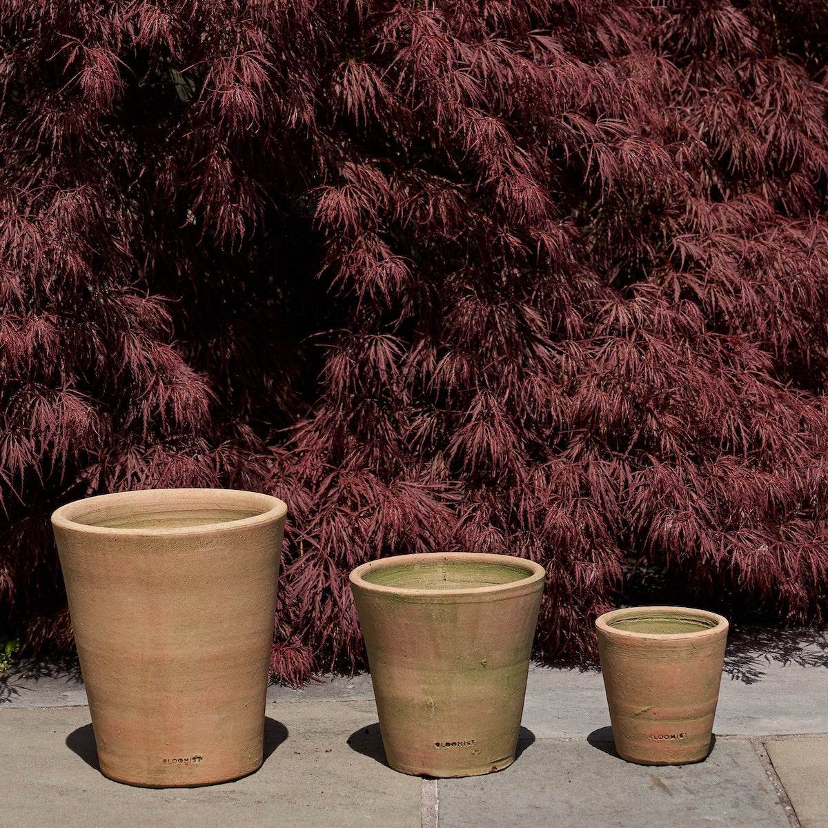 Greenwash Terracotta Studio Planter