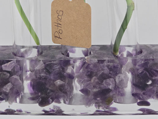 Amethyst Propagation Station