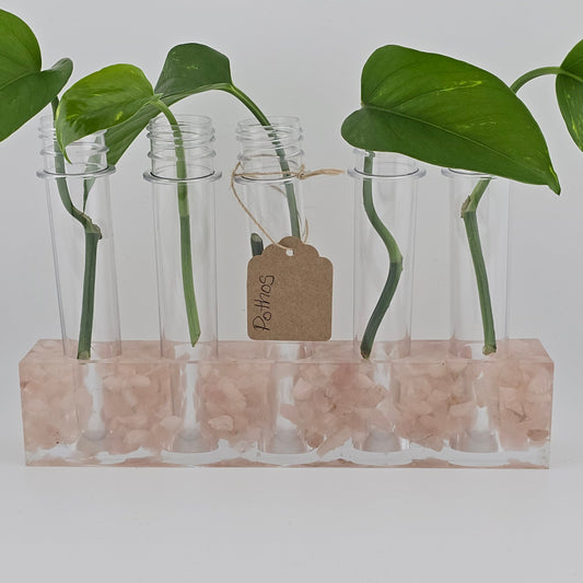 Rose Quartz 5-Hole Propagation Station 8.75"W x 1.45"D x 2"H, natural stone, epoxy resin white background