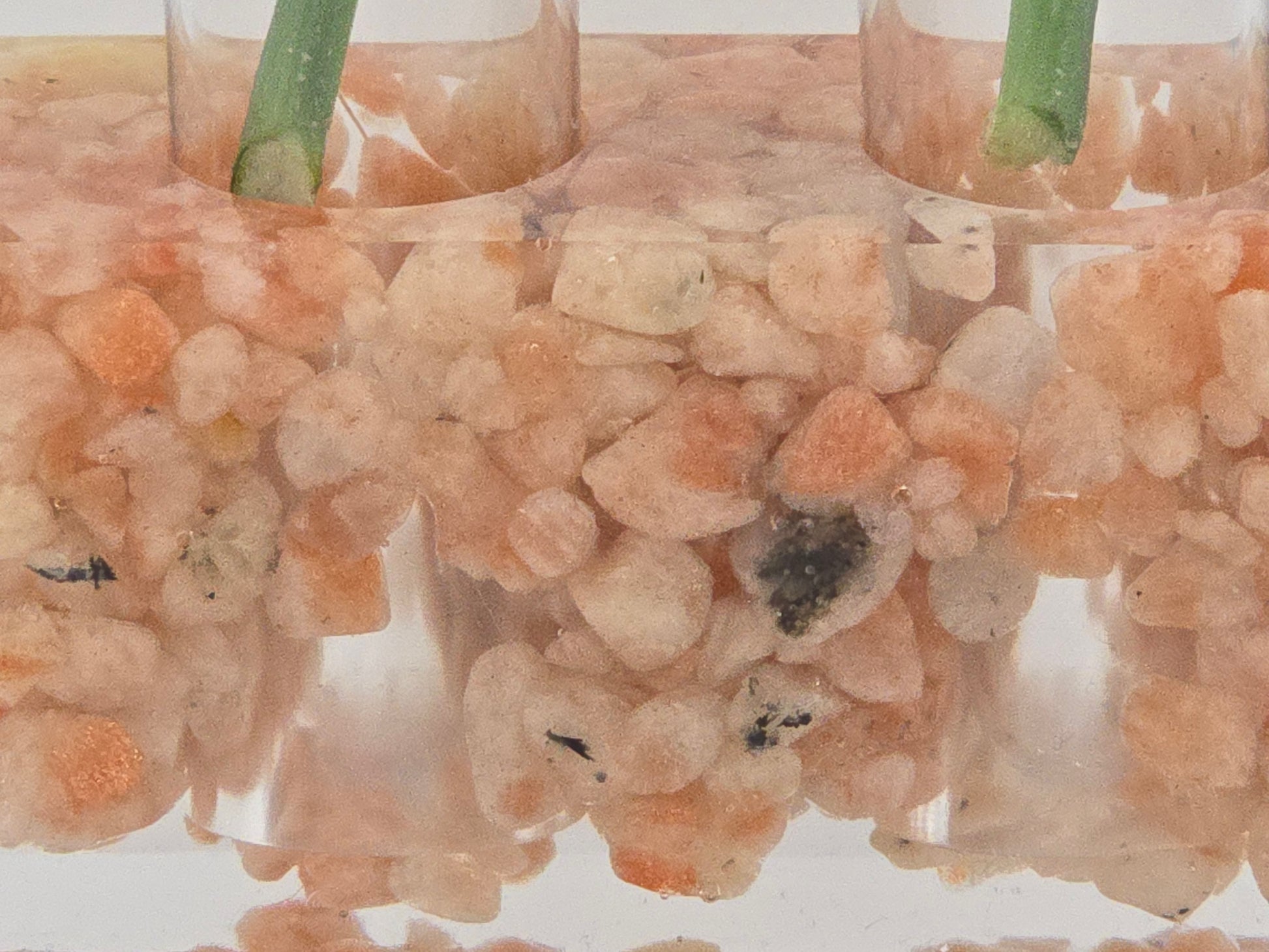 Sunstone Propagation Station natural stone, epoxy resin close up