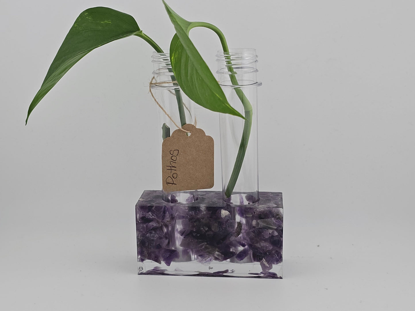 Amethyst Propagation Station