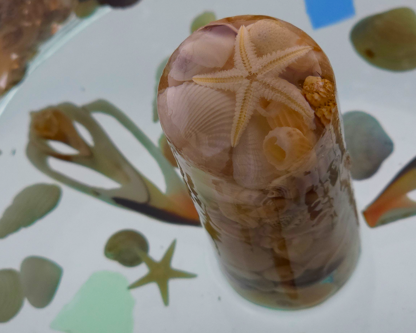 Large Paper Towel Holder - Seashell