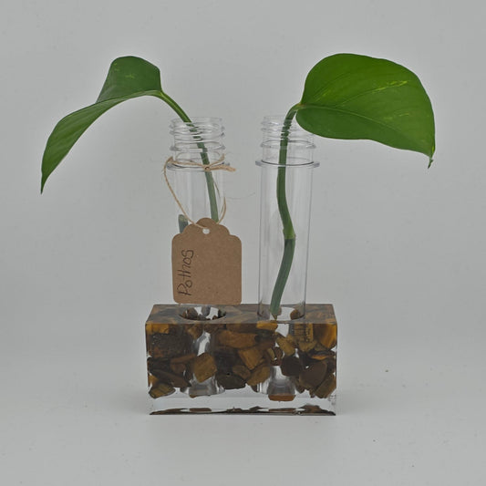 Tigers Eye 2-Hole Propagation Station Dimensions: 3.75"W x 1.45'D x 2"H natural stone, epoxy resin white background