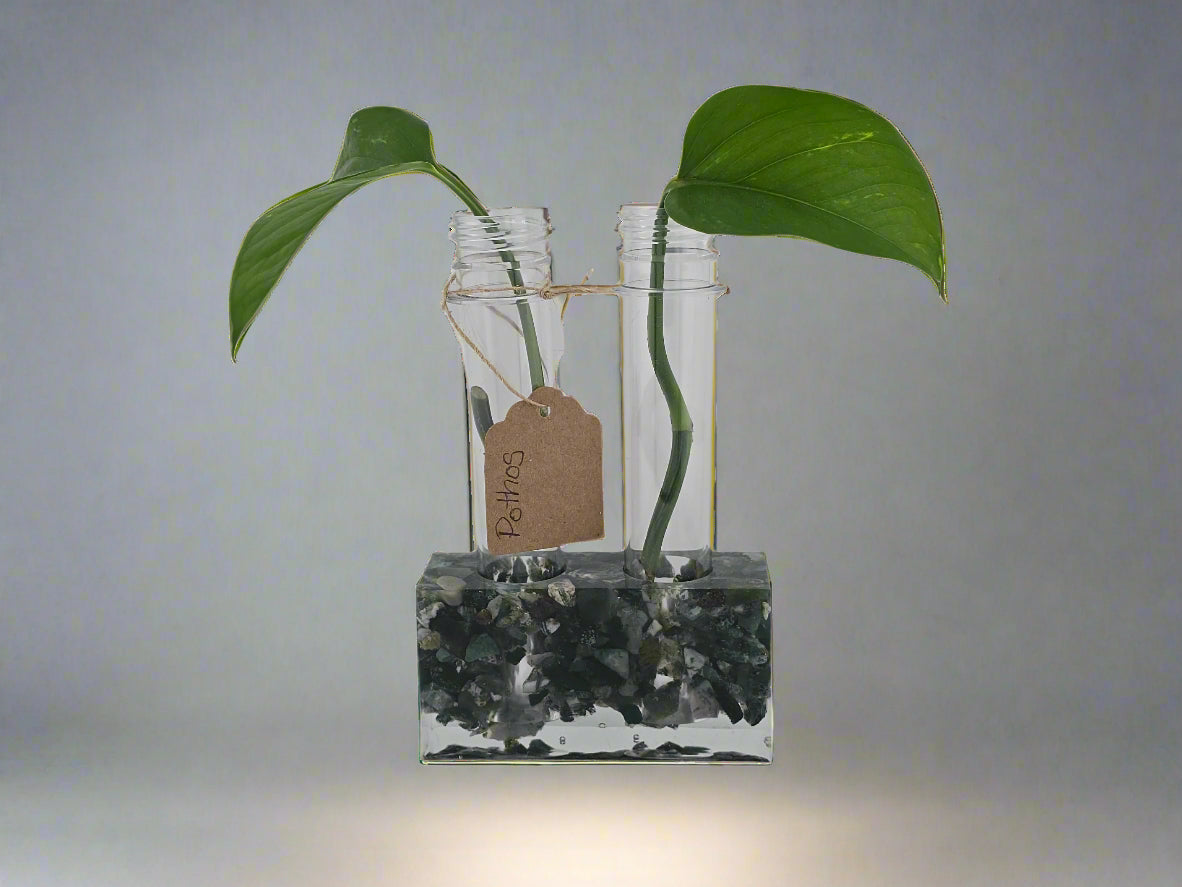 2-Hole Propagation Station Dimensions: 3.75"W x 1.45'D x 2"H, natural stone, epoxy resin white background