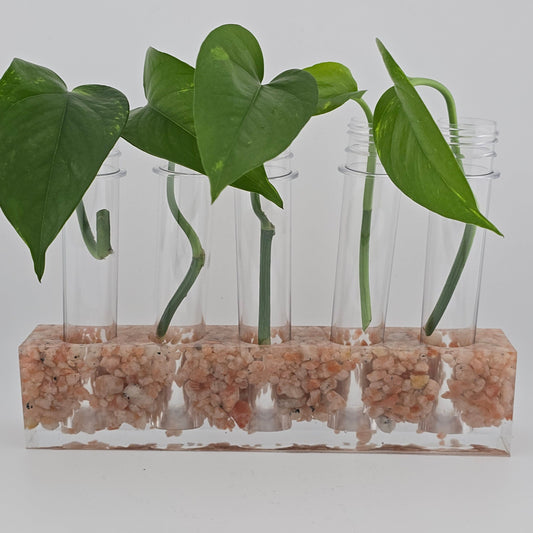 Sunstone 5-Hole Propagation Station 8.75"W x 1.45"D x 2"H, natural stone, epoxy resin white background